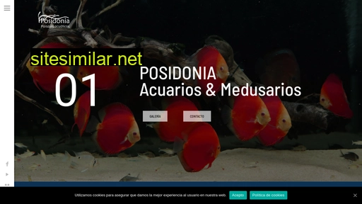 posidonia.es alternative sites