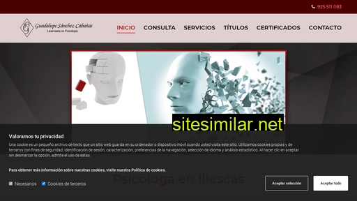psicologaguadalupesanchezenillescas.es alternative sites