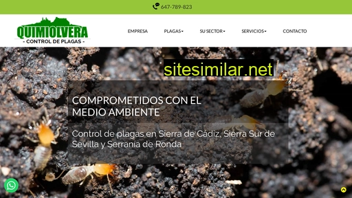 quimiolvera.es alternative sites