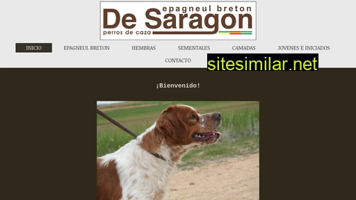 saragon.es alternative sites