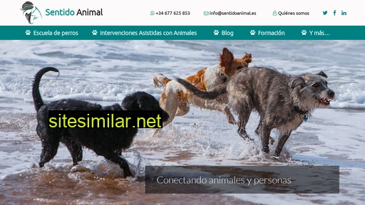 sentidoanimal.es alternative sites