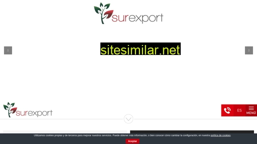 surexport.es alternative sites