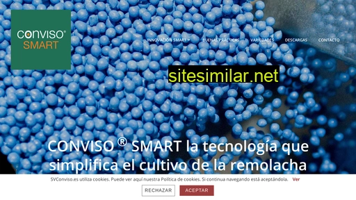 svconviso.es alternative sites