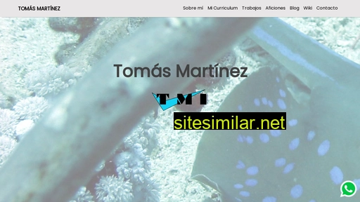 tmisl.es alternative sites