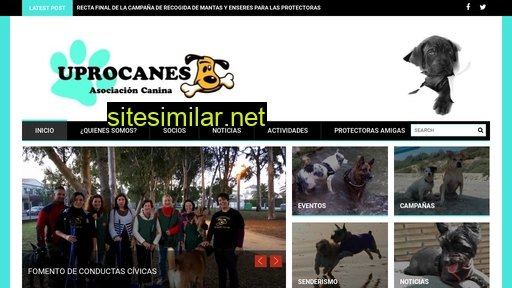 uprocanes.es alternative sites
