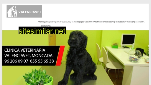 veterinariomoncada.es alternative sites