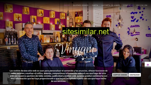 vinyam.es alternative sites