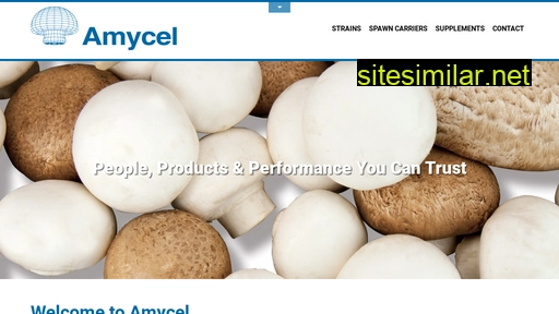 amycel.eu alternative sites