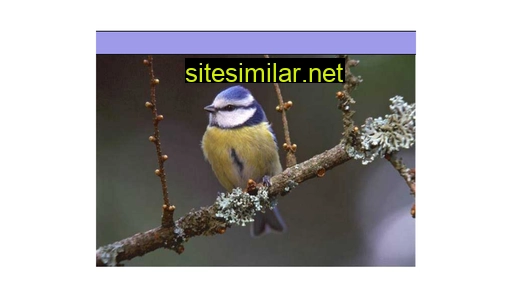 bird-behavior.eu alternative sites