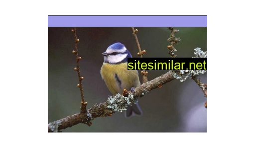 bird-behaviour.eu alternative sites