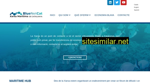 bluenetcat.eu alternative sites