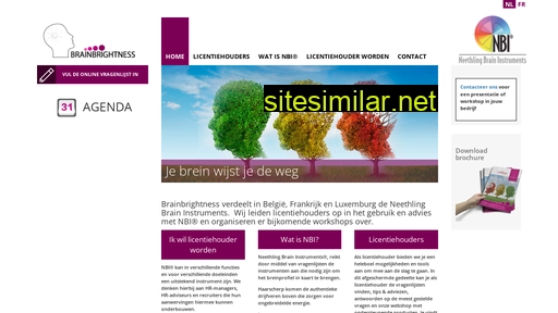 brainbrightness.eu alternative sites