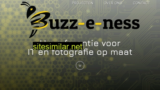 buzz-e-ness.eu alternative sites
