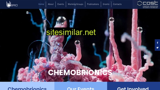 Chemobrionics similar sites