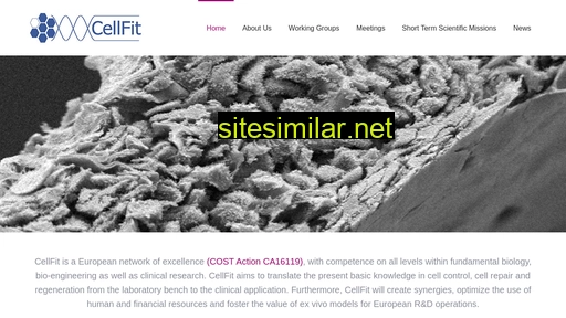 cost-cellfit.eu alternative sites