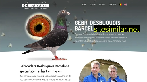 desbuquois.eu alternative sites