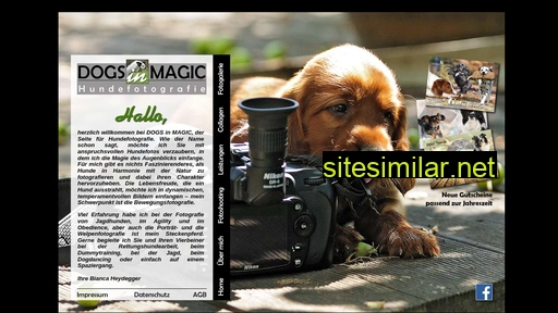 dogs-in-magic.eu alternative sites
