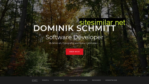 Dominik-schmitt similar sites