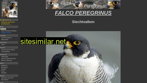falcoperegrinus.eu alternative sites