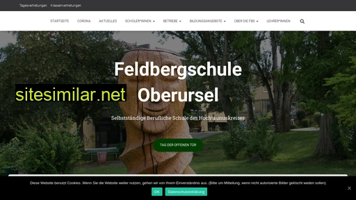 feldbergschule.eu alternative sites