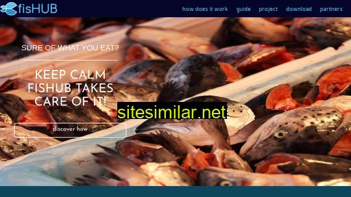 fishub.eu alternative sites