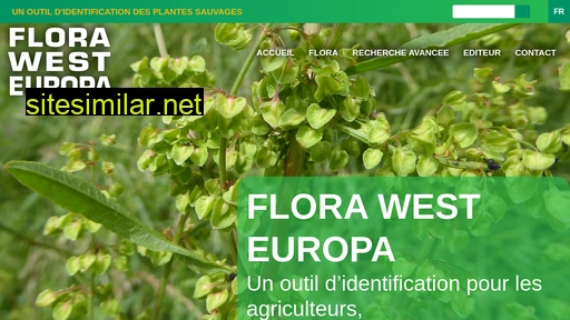 Flora-west-europa similar sites