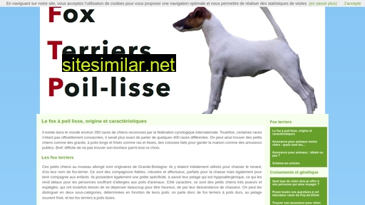 Fox-terriers-poil-lisse similar sites