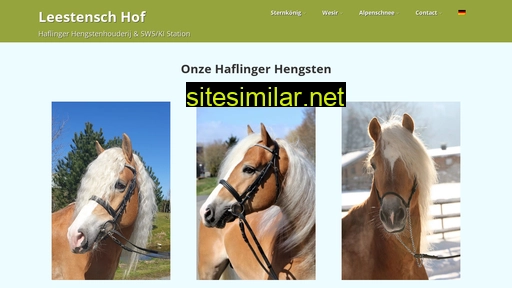 Haflingerhorses similar sites