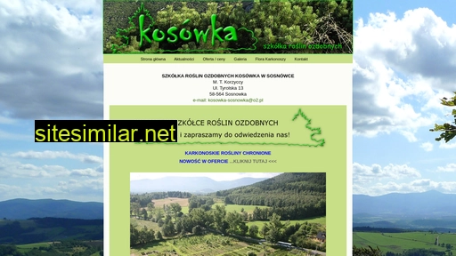 kosowka.eu alternative sites