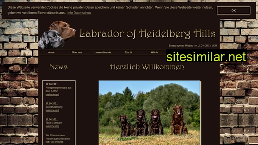 Labrador-of-heidelberg-hills similar sites