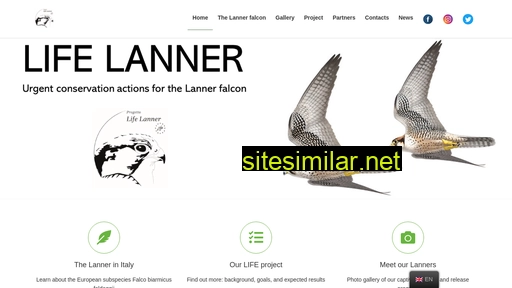lifelanner.eu alternative sites