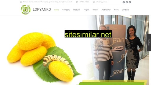 lopyanko.eu alternative sites