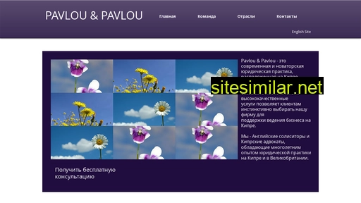 Pavlouandpavlou similar sites