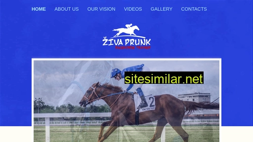 Racehorse-trainer similar sites