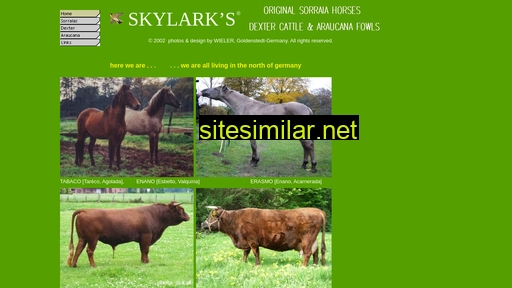 skylarks.eu alternative sites