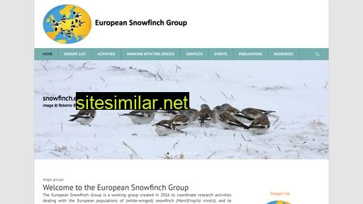 snowfinch.eu alternative sites
