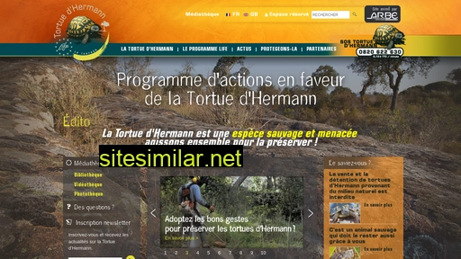 Tortue-hermann similar sites