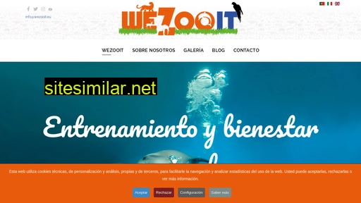 wezooit.eu alternative sites