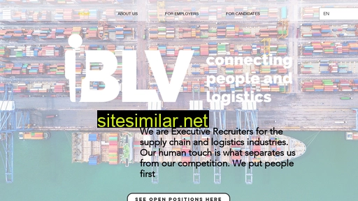 blv.expert alternative sites