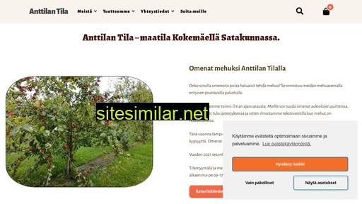 anttilantila.fi alternative sites