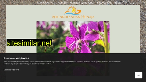 aurinkorannanhunaja.fi alternative sites