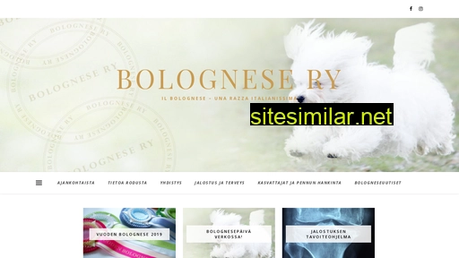 bolognesery.fi alternative sites