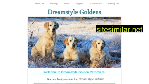 dreamstyle.fi alternative sites
