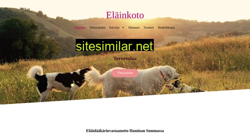 elainlaakarihamina.fi alternative sites