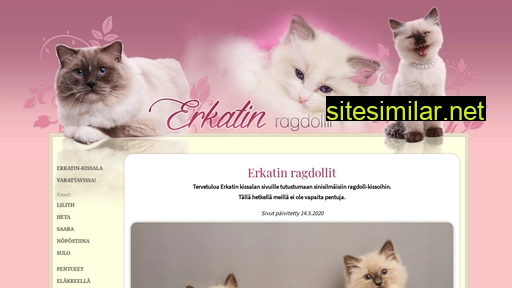 erkatin.fi alternative sites
