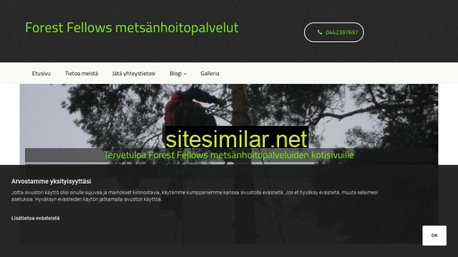 forestfellows.fi alternative sites