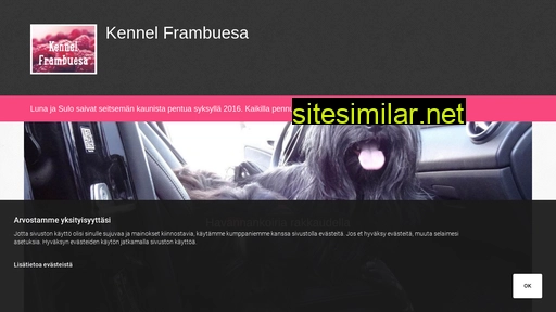 frambuesa.fi alternative sites