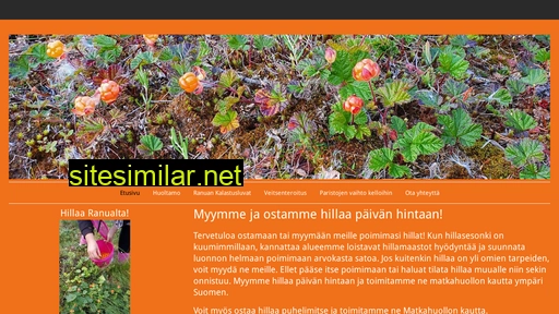 hillaa.fi alternative sites