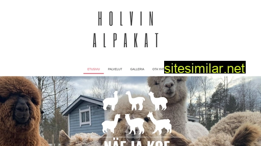 holvinalpakka.fi alternative sites