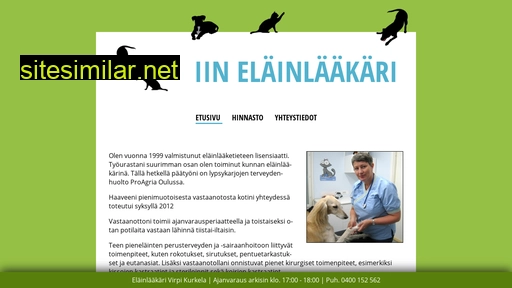 iinelainlaakari.fi alternative sites